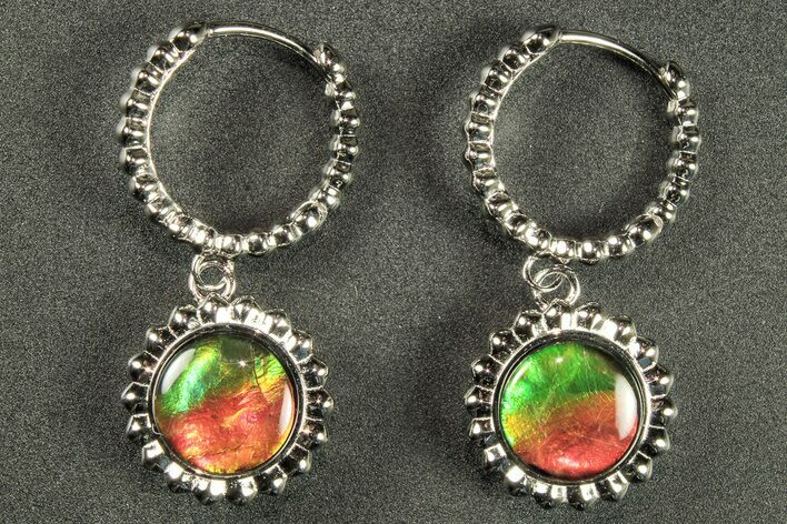 Flashy Ammolite (Fossil Ammonite Shell) Earrings with Sterling Silver #271753